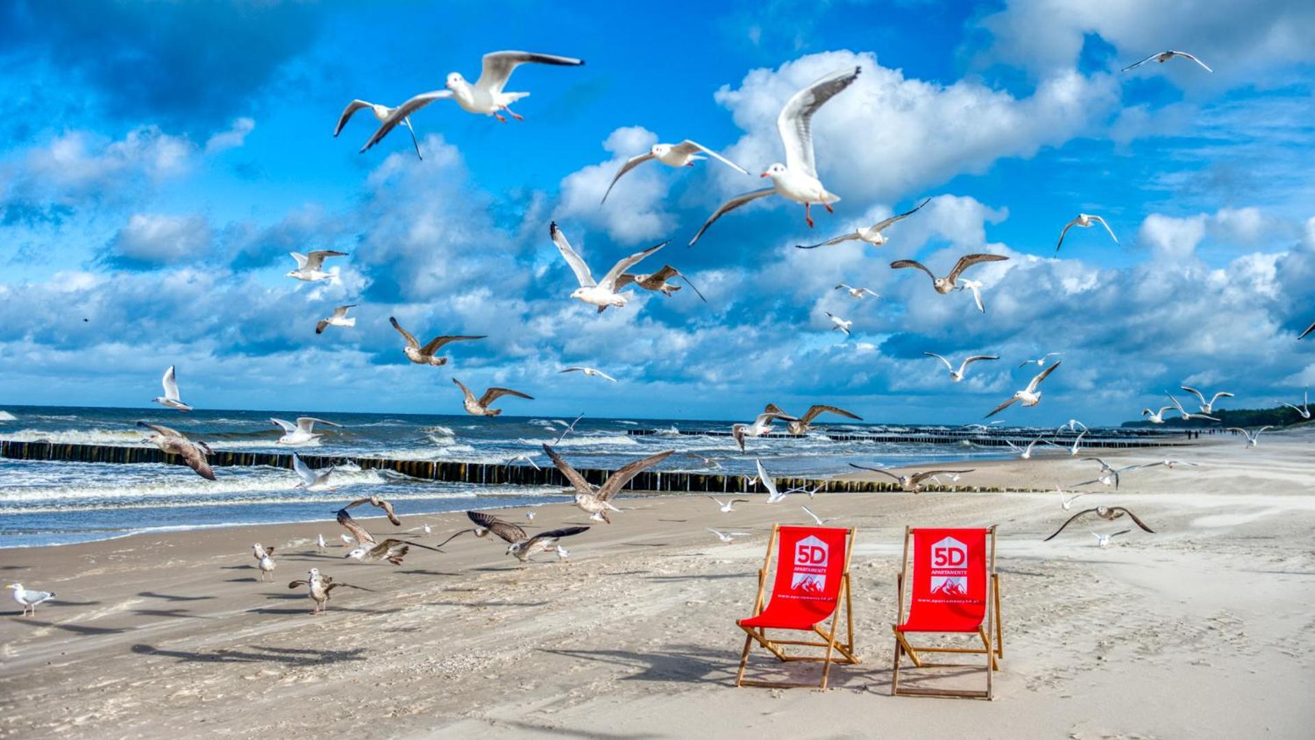Rezydencja Niechorze 310 Z Widokiem Na Morze I Przy Plazy - 5D Apartamenty Esterno foto